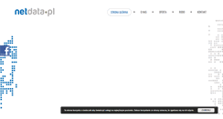 Desktop Screenshot of netdata.pl